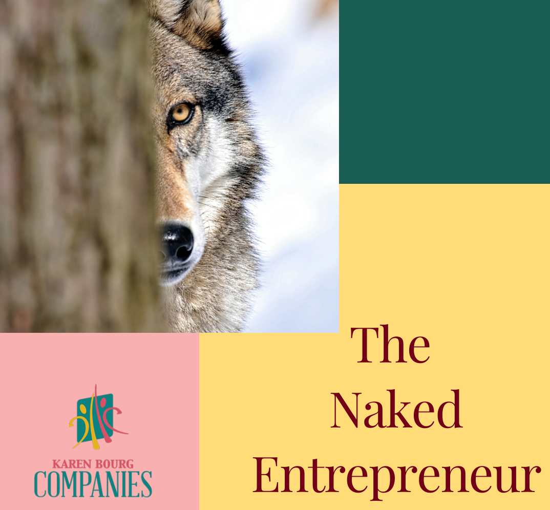 The Naked Entrepreneur 