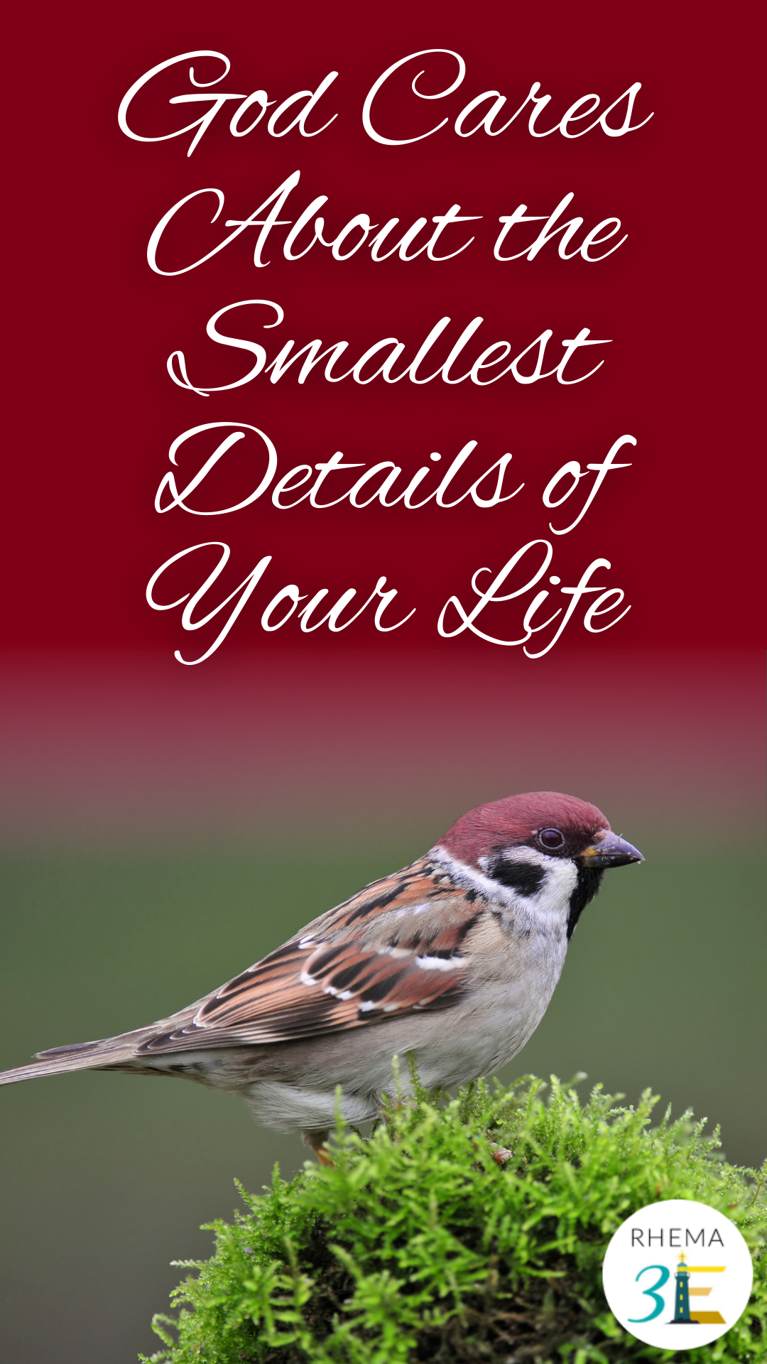 God Cares About the Smallest Details of Your Life - RHEMA 3E Services ...